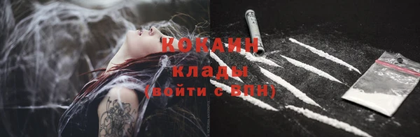 ешки Алексеевка