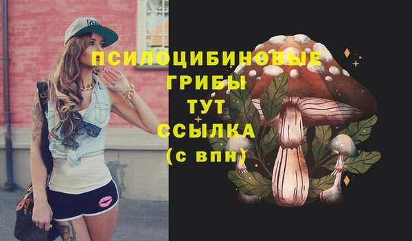 ешки Алексеевка