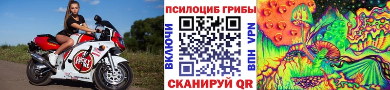 Галлюциногенные грибы ЛСД  купить наркотики сайты  Катав-Ивановск 