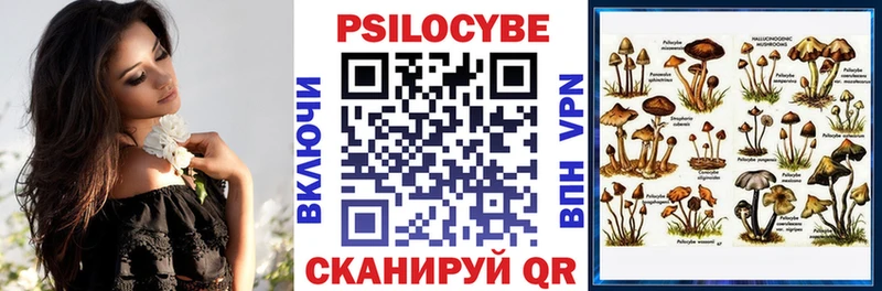 Галлюциногенные грибы ЛСД Катав-Ивановск